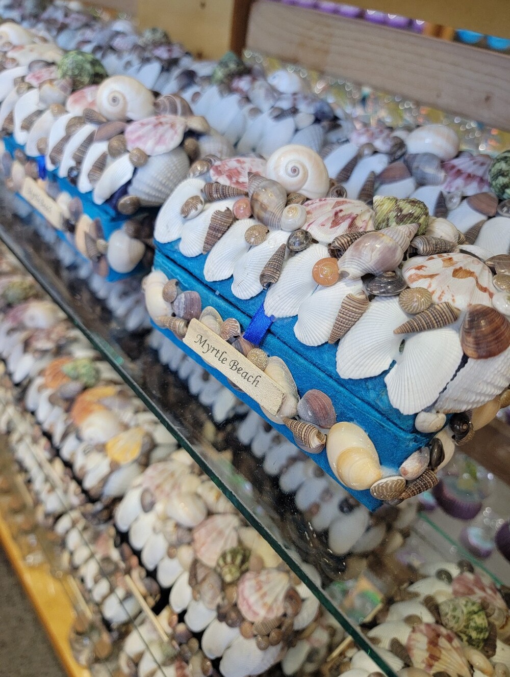 Seashell Jewelry Box Teasure Box - Seashell Trinket Box